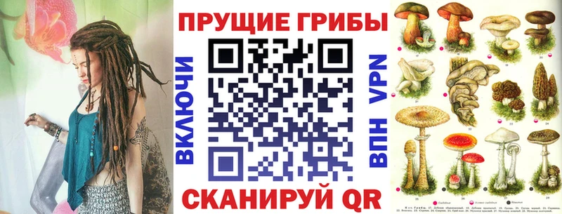 Псилоцибиновые грибы Magic Shrooms  Северск 
